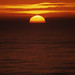 Elizabeth Pepin Photo 13