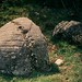 Cavan Stone Photo 9