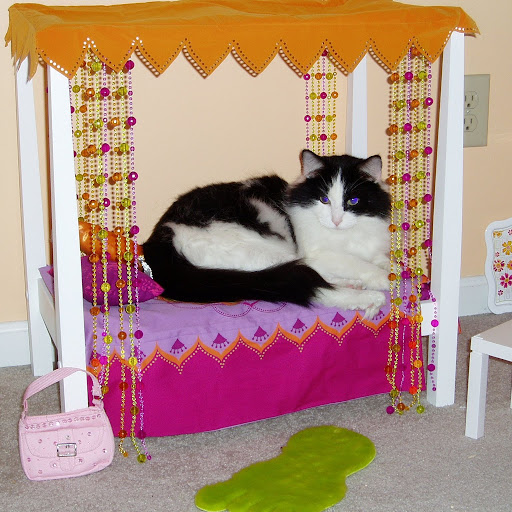 Timothy Finn Photo 13