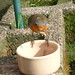 Robin May Photo 42