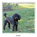 Harold Tucker Photo 19