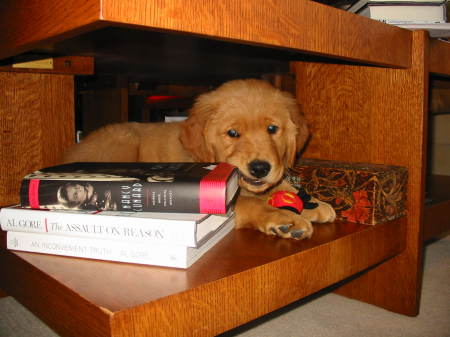 Margaret Schuster Photo 12