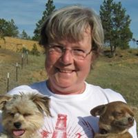 Sue Atkins Photo 32