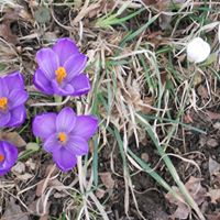 Debra Hilliard Photo 17