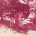 Barb Hall Photo 29