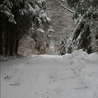 Karen Kratz Photo 8