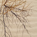 Robyn Plant Photo 6
