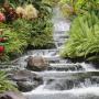 Harold Andrews Photo 7