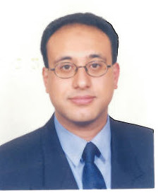 Tarek Amin Photo 11