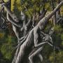 Holly Connors Photo 30