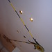 Christina Samson Photo 8