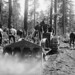 Gerald Black Photo 28