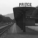 Virginia Prince Photo 17