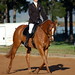 Candice Rush Photo 15