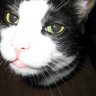 Nicholas Munoz Photo 32