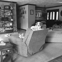 Kathy Woodward Photo 20