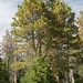 Katherine Meadows Photo 27