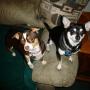 Kelly Burkholder Photo 6