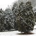 Linda Farlow Photo 12