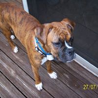 Ken Reaves Photo 14