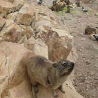 Peter Beaver Photo 11
