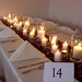 Joe Conner Photo 16