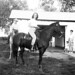 Katherine Turner Photo 20