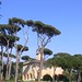 Antonio Pini Photo 4