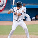Steve Moss Photo 29