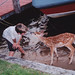 Anne Martino Photo 24