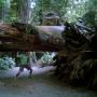 Heath Petersen Photo 20