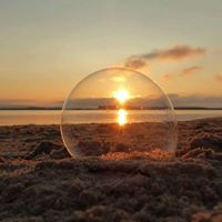 Diane Forester Photo 10
