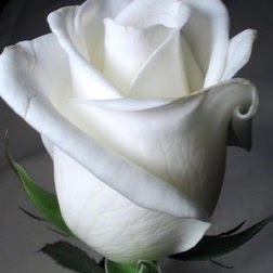 Rosa Velazquez Photo 18