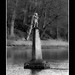 William Kerr Photo 43