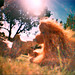 Harry Sommers Photo 14