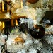 Carol Weiss Photo 15