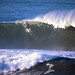 Elizabeth Pepin Photo 10