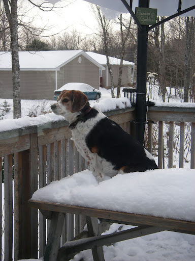 Cheryl Bartlett Photo 43