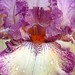Louise Galloway Photo 29