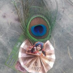 Naveen Bansal Photo 14