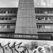 John Crispin Photo 37