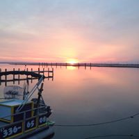 Stacy Schaffer Photo 16