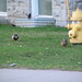Donald Drake Photo 30