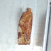 Mark Merwin Photo 7