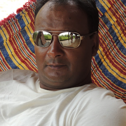 Gilberto Martins Photo 24