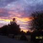Cynthia Mckay Photo 8