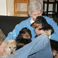 Sandy Peck Photo 22