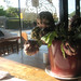 Joan Wilkinson Photo 33