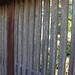 Richard Gates Photo 28
