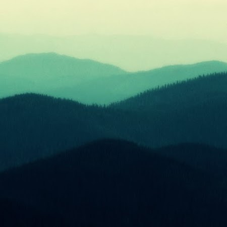 Clayton Baker Photo 32
